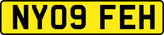 NY09FEH