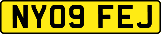 NY09FEJ