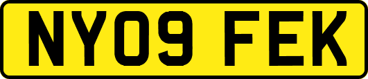 NY09FEK