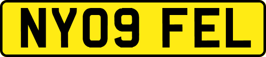 NY09FEL