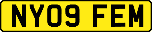 NY09FEM