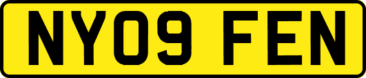 NY09FEN