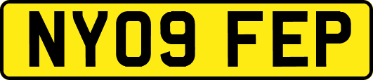 NY09FEP