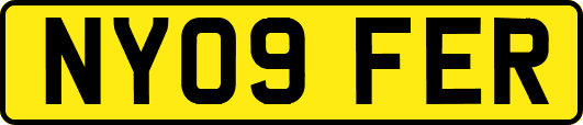 NY09FER