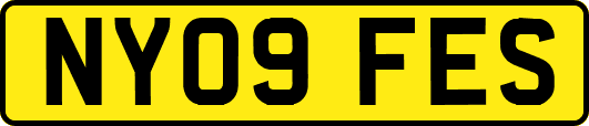 NY09FES