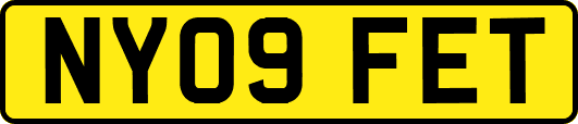 NY09FET