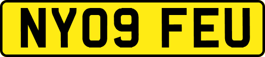 NY09FEU