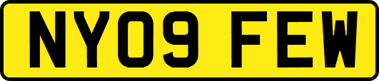 NY09FEW