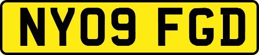 NY09FGD