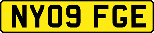 NY09FGE