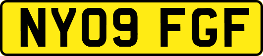NY09FGF