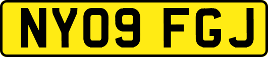 NY09FGJ