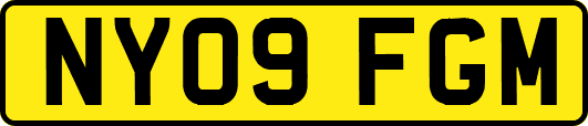 NY09FGM