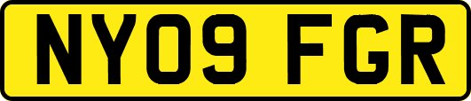 NY09FGR
