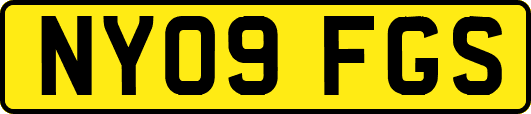 NY09FGS