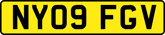 NY09FGV