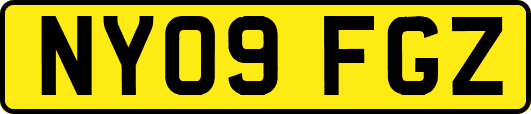 NY09FGZ