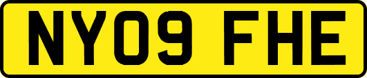 NY09FHE