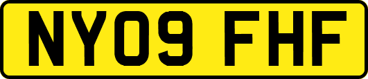 NY09FHF