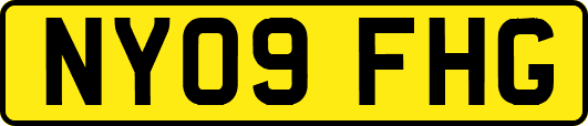 NY09FHG