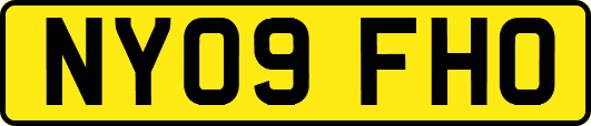 NY09FHO