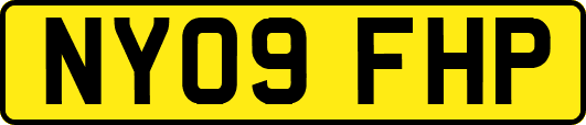 NY09FHP