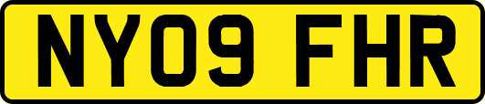 NY09FHR
