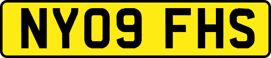 NY09FHS