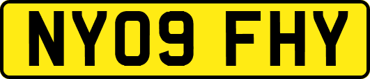 NY09FHY