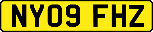 NY09FHZ