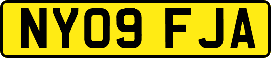 NY09FJA