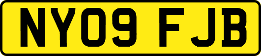 NY09FJB