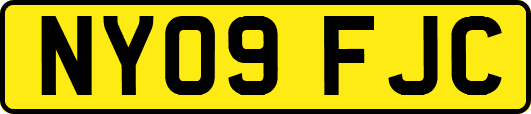 NY09FJC