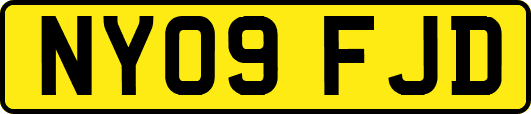 NY09FJD