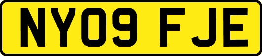 NY09FJE