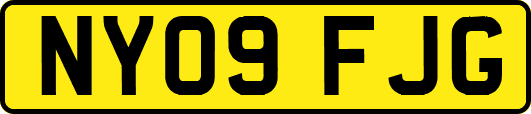 NY09FJG