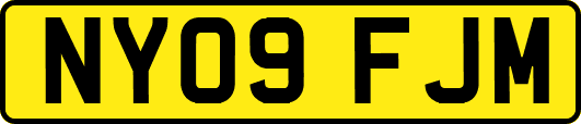 NY09FJM