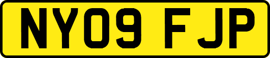 NY09FJP