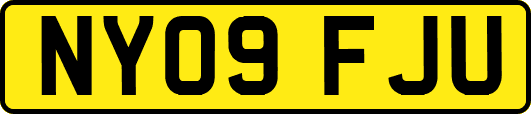 NY09FJU