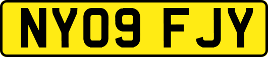 NY09FJY