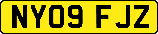 NY09FJZ