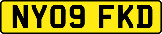 NY09FKD