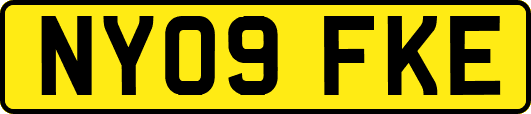 NY09FKE