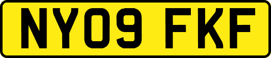 NY09FKF