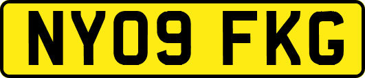 NY09FKG