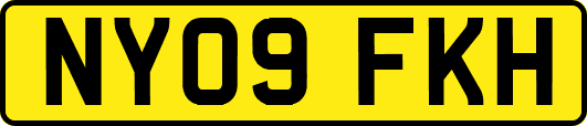 NY09FKH