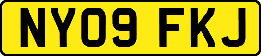 NY09FKJ