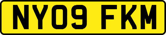 NY09FKM
