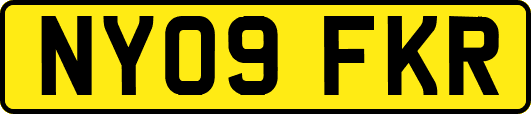 NY09FKR