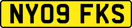NY09FKS